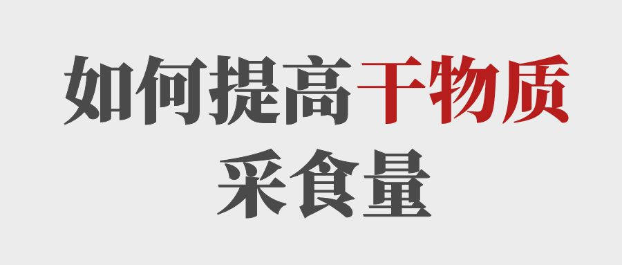 做到這5點(diǎn)提高育肥牛的干物質(zhì)采食量！